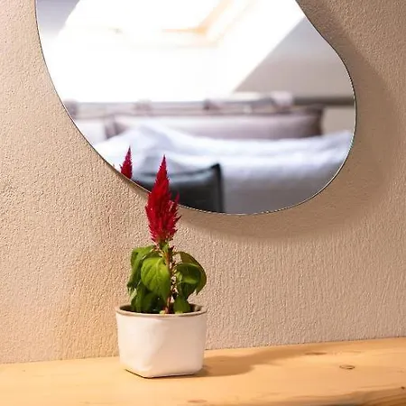 Apartment Xenia